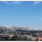 COLLSEROLA NEVADA