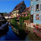 Colmar (15)