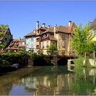 Colmar (16)