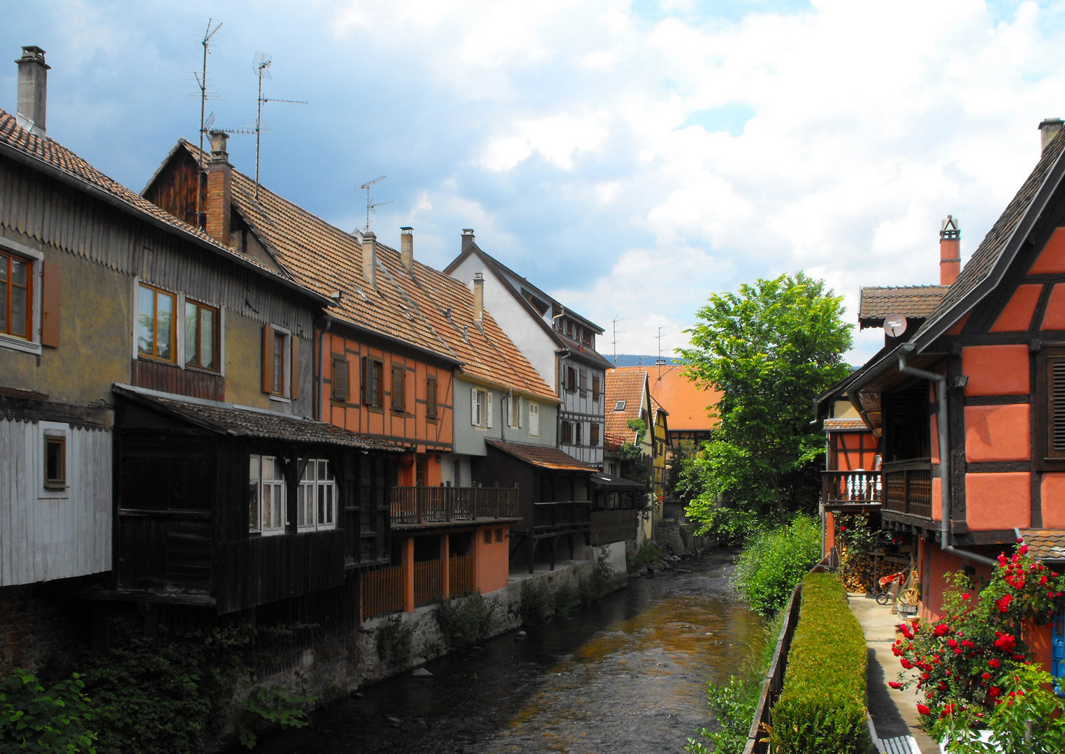 Colmar-2 