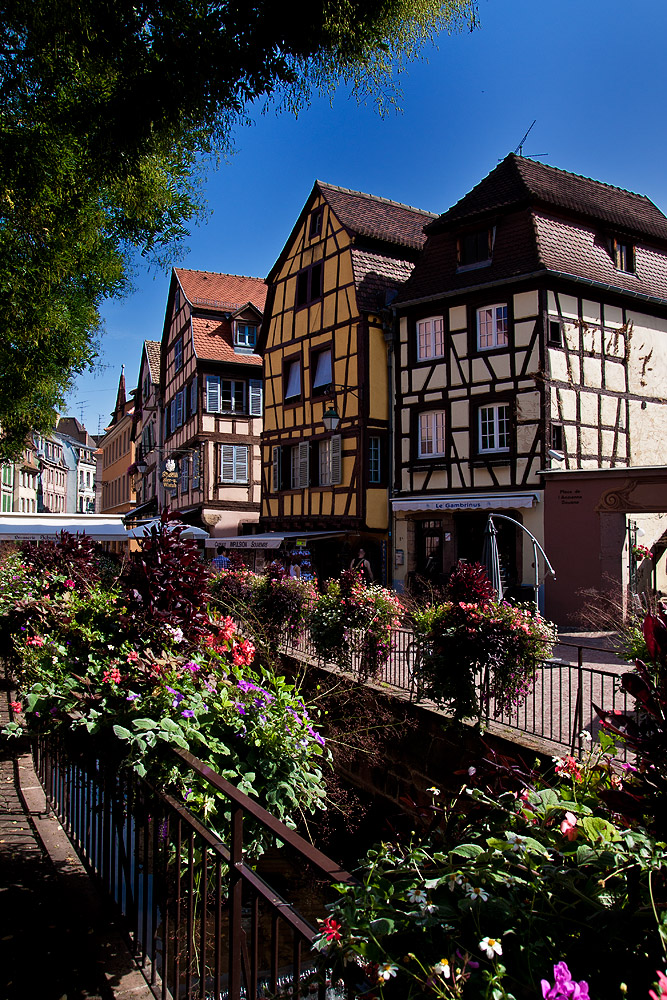 Colmar 2011 / 2