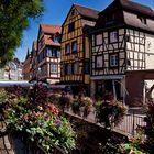 Colmar 2011 / 2