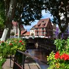 Colmar 2011