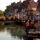 Colmar 2011