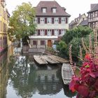  Colmar