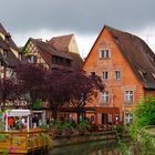 Colmar 3