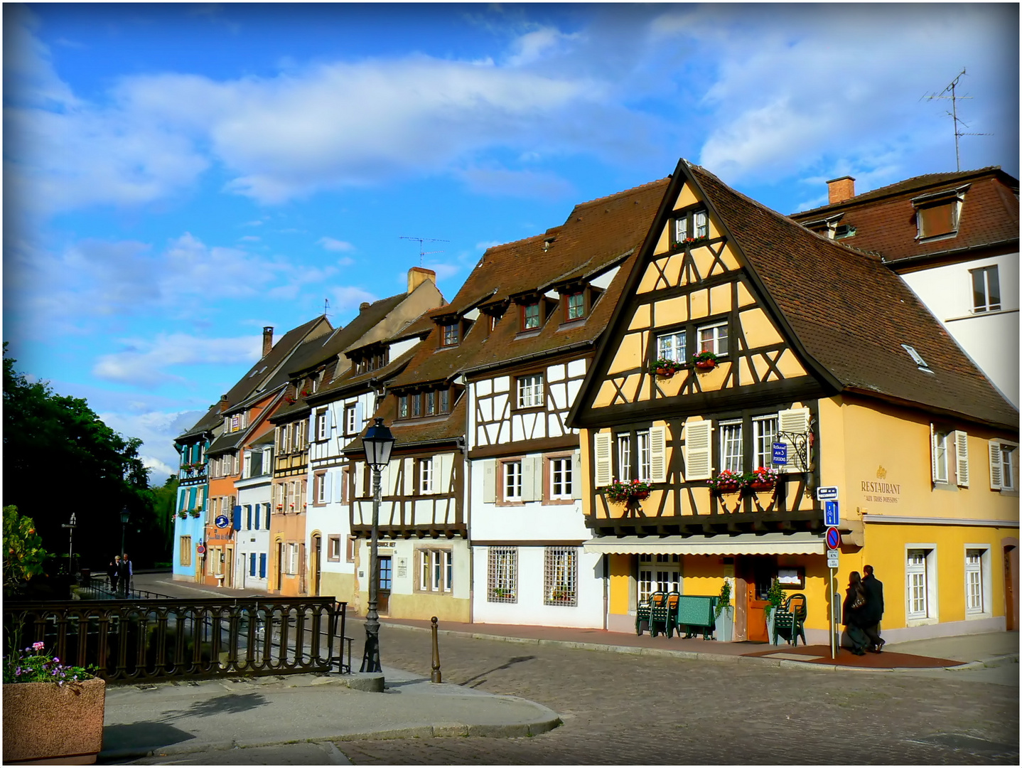 COLMAR - 37--- -