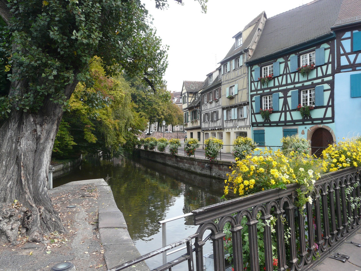 " COLMAR"