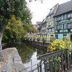 " COLMAR"