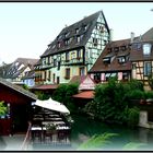 COLMAR - 40 - --- -