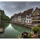 Colmar