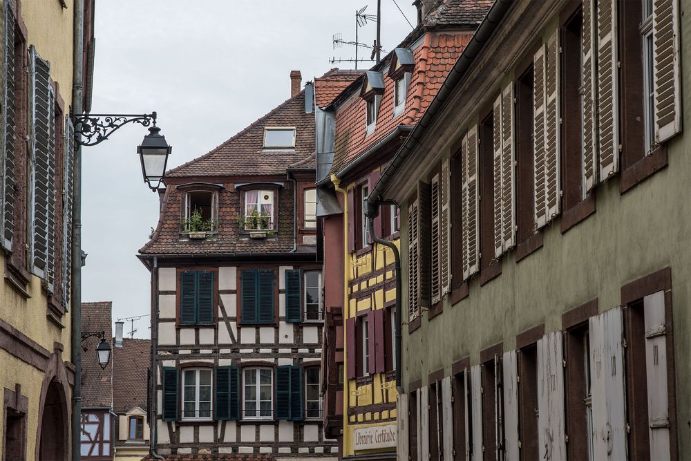 Colmar