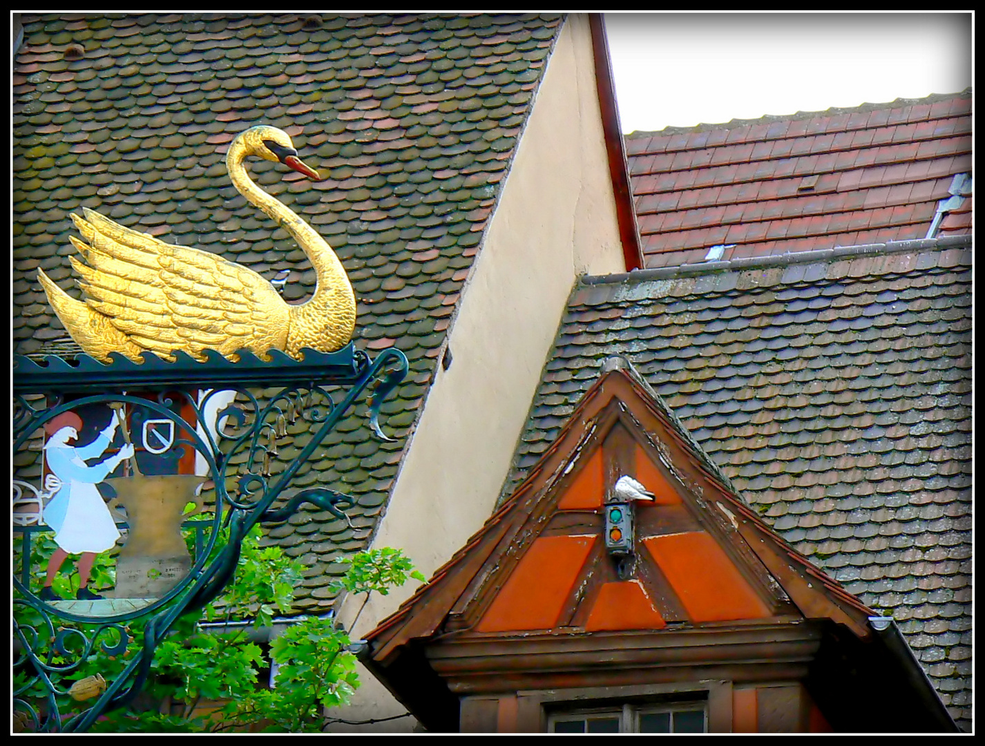 COLMAR - 6 -