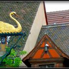 COLMAR - 6 -