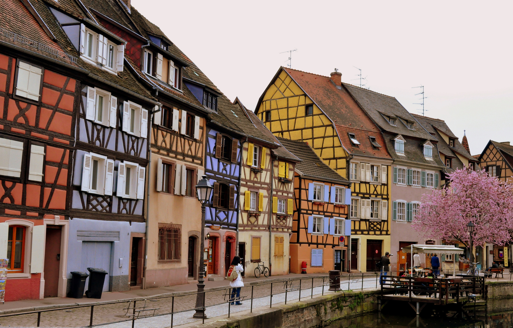 Colmar