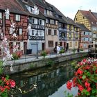 Colmar