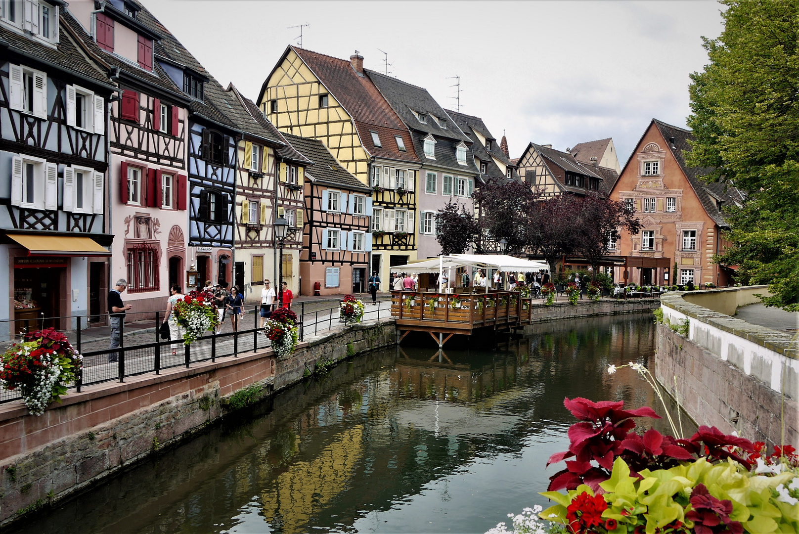 Colmar