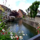 Colmar