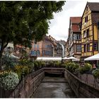 Colmar bunt