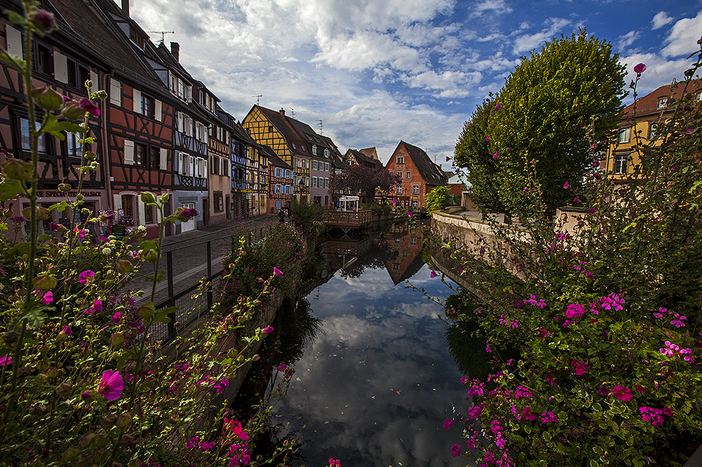 Colmar classic