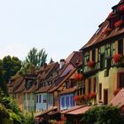 Colmar