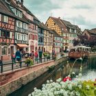 Colmar