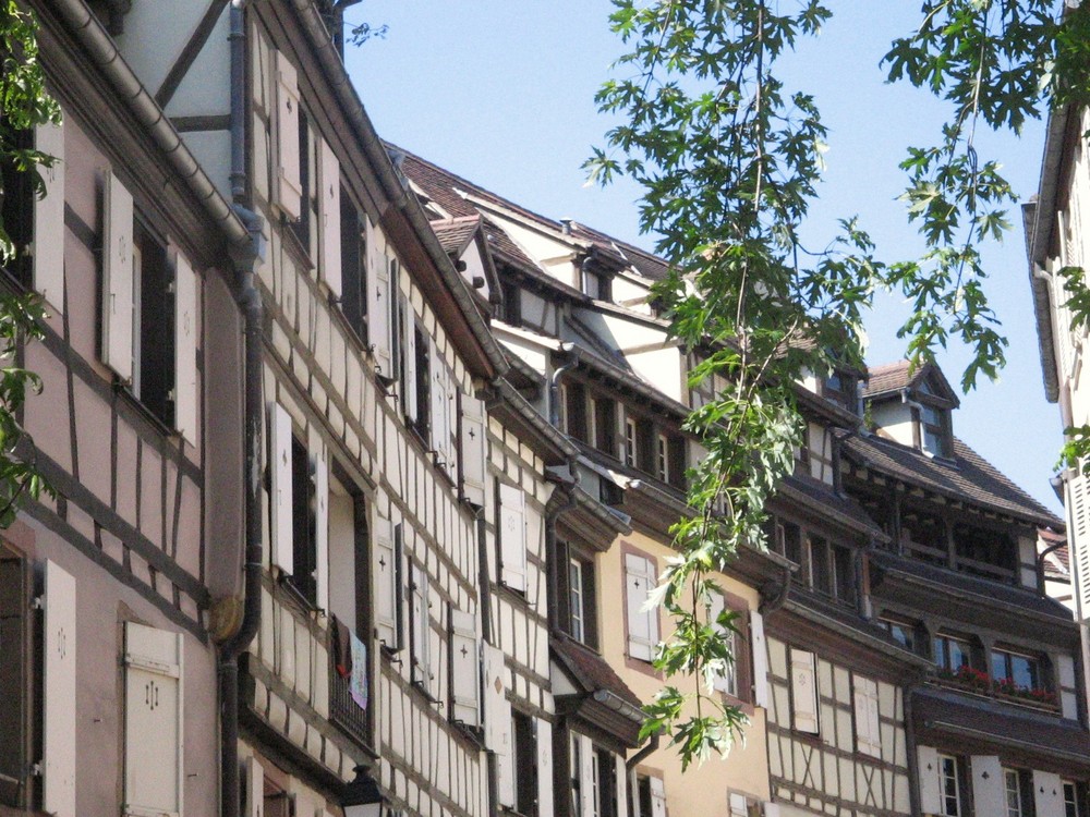 Colmar - die kleine Gerbergasse - alte hoch herausgebaute Häuser