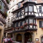 Colmar