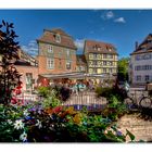 Colmar - Frankreich (1)