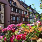 Colmar - Frankreich