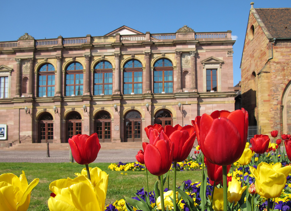 Colmar im Frühling