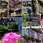 COLMAR-IMPRESSIONEN...