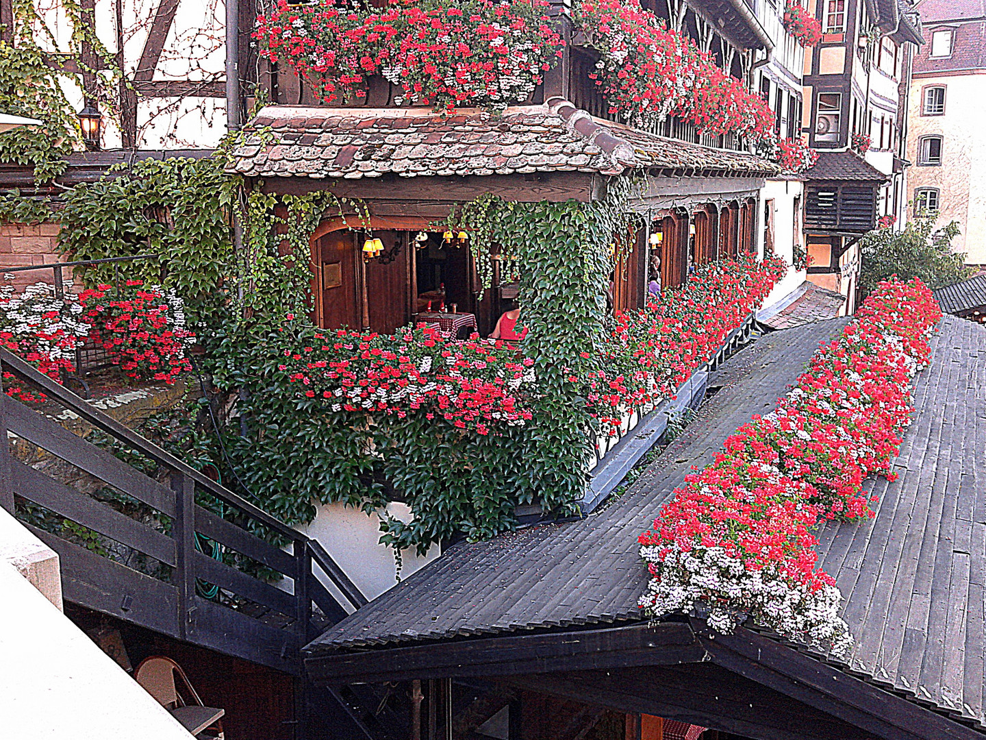      Colmar in fiore...estate in Alsazia!...