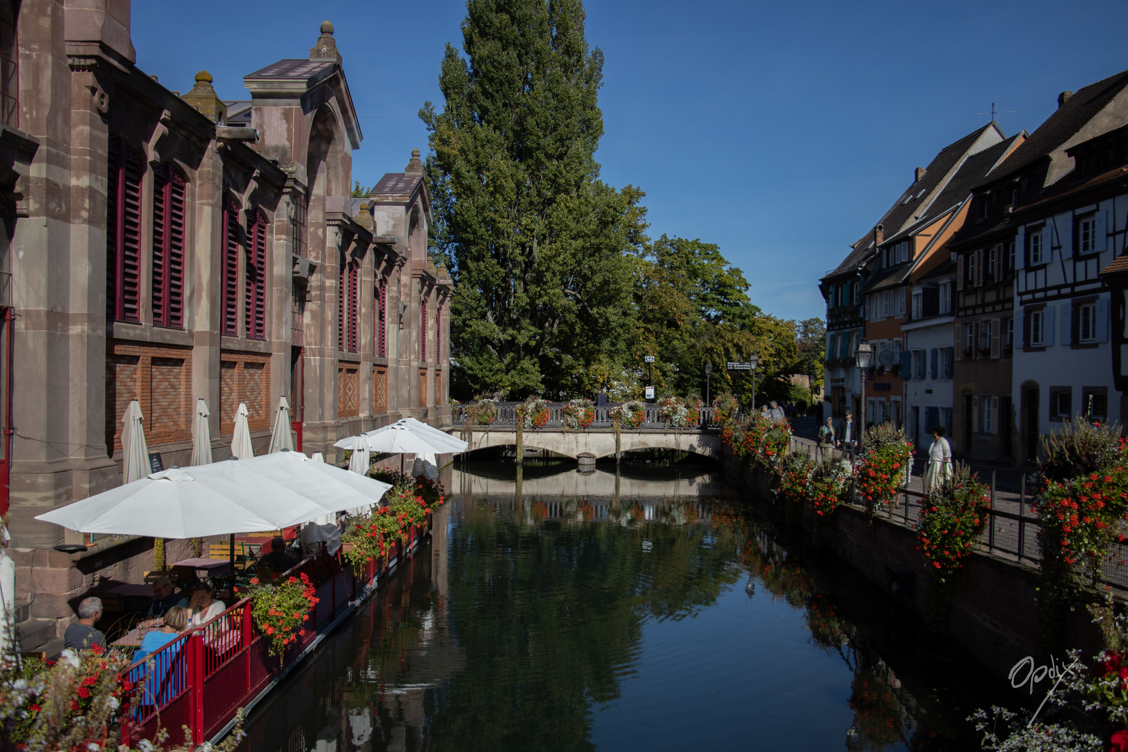 Colmar - Klein Venedig mit Markthalle