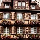 Colmar_14