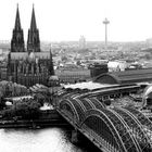 cologne