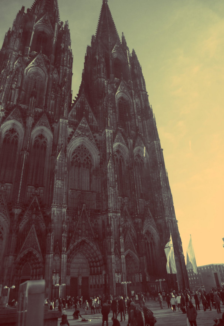 cologne.