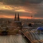 cologne