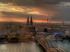 cologne