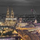 cologne at night