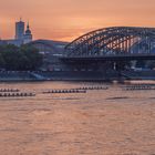 Cologne at night