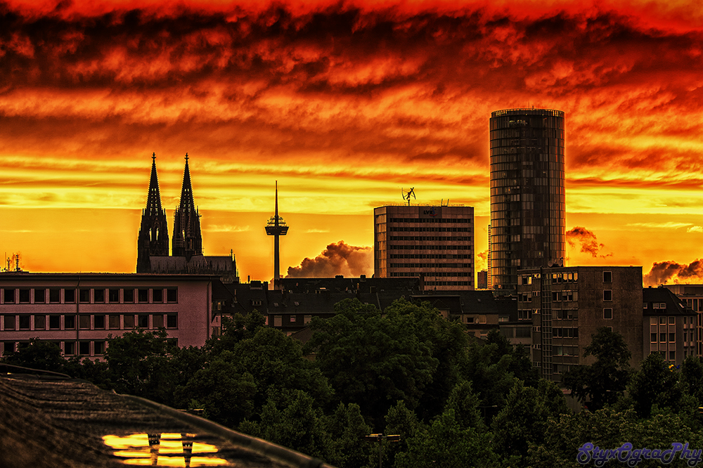 Cologne at sunset!