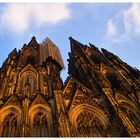 Cologne Cathedral with Cage