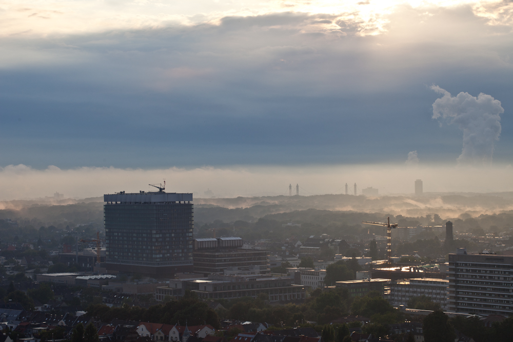 Cologne in July