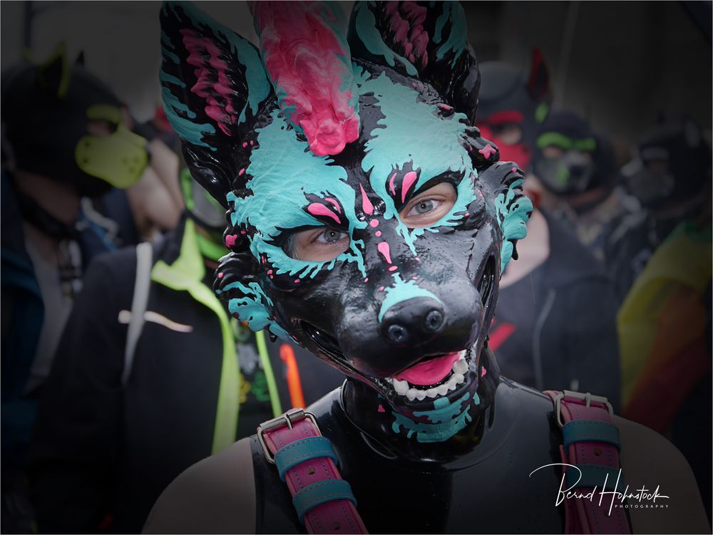 Cologne Pride 2025 ...