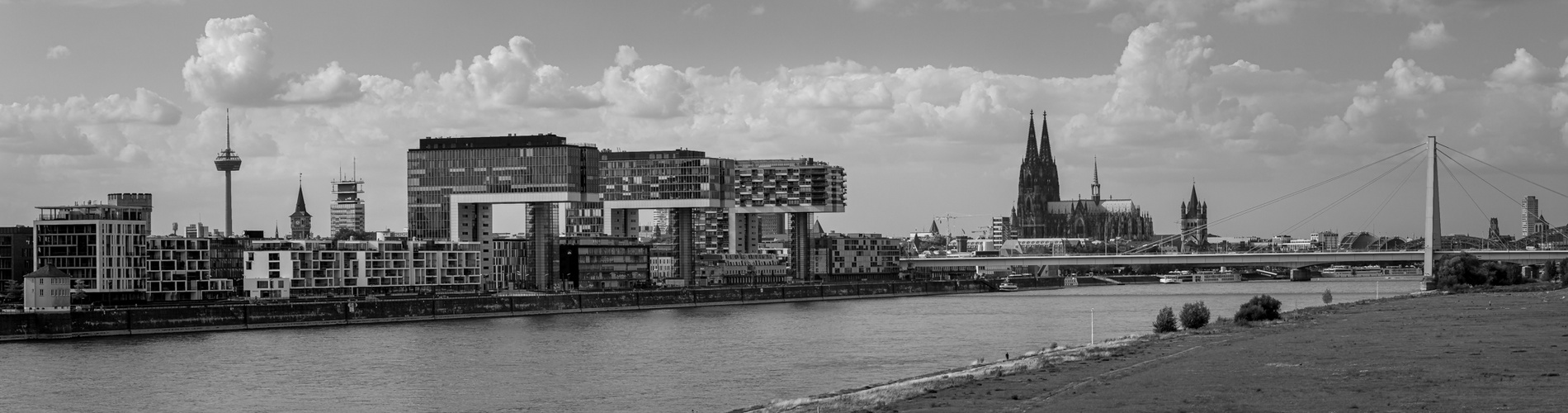 Cologne Skyline