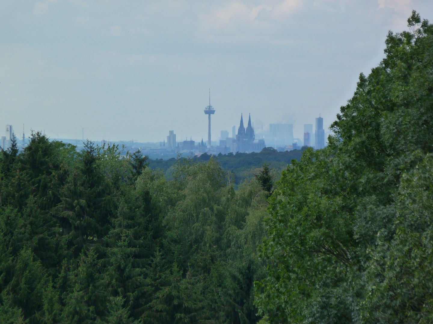 Cologne Skyline