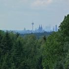 Cologne Skyline