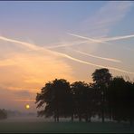 Cologne Sunrise