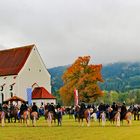 Colomansfest Schwangau!